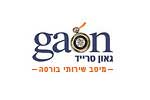גאון טרייד מסחר בבורסה